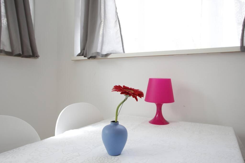 Sunny Apartment At Rostock - Pink מראה חיצוני תמונה